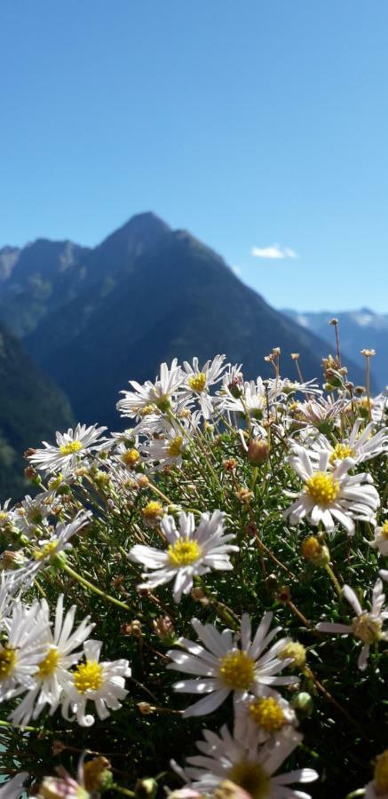Landhaus Zum Griena Mayrhofen Eksteriør bilde